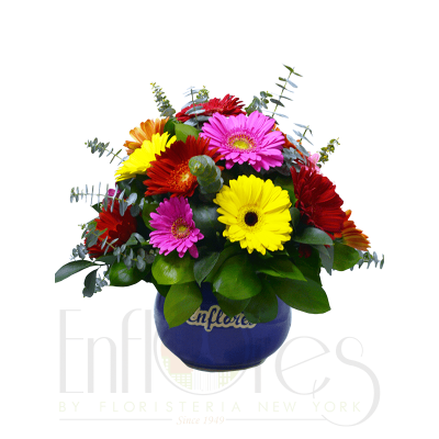 Bombonera de Gerberas Happy