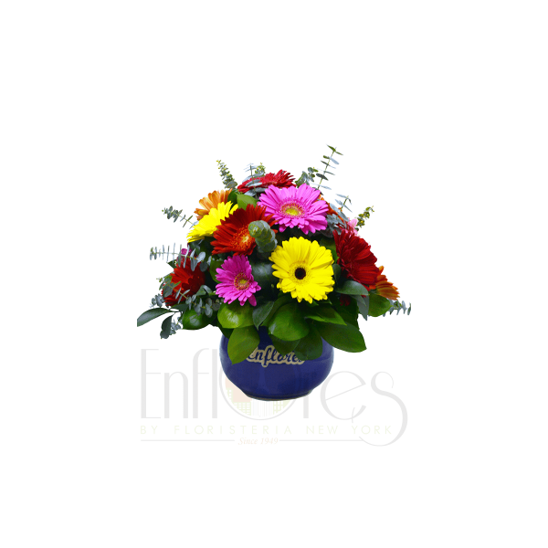 Bombonera de Gerberas Happy