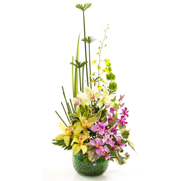 Bombonera con Orquídeas Cymbidium y Hawaianas - Diseño Diversidad