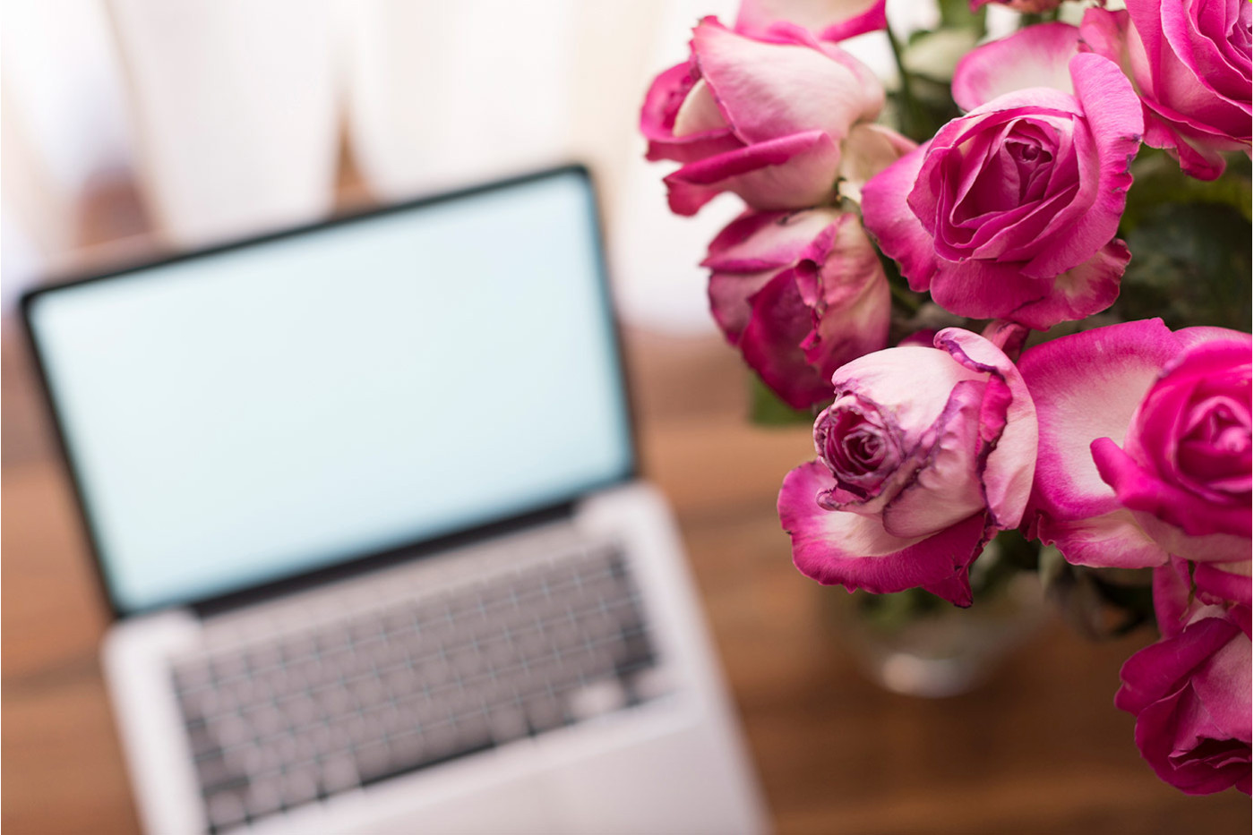 Significado de las flores: ¿Qué simboliza cada flor y cuándo regalarla?